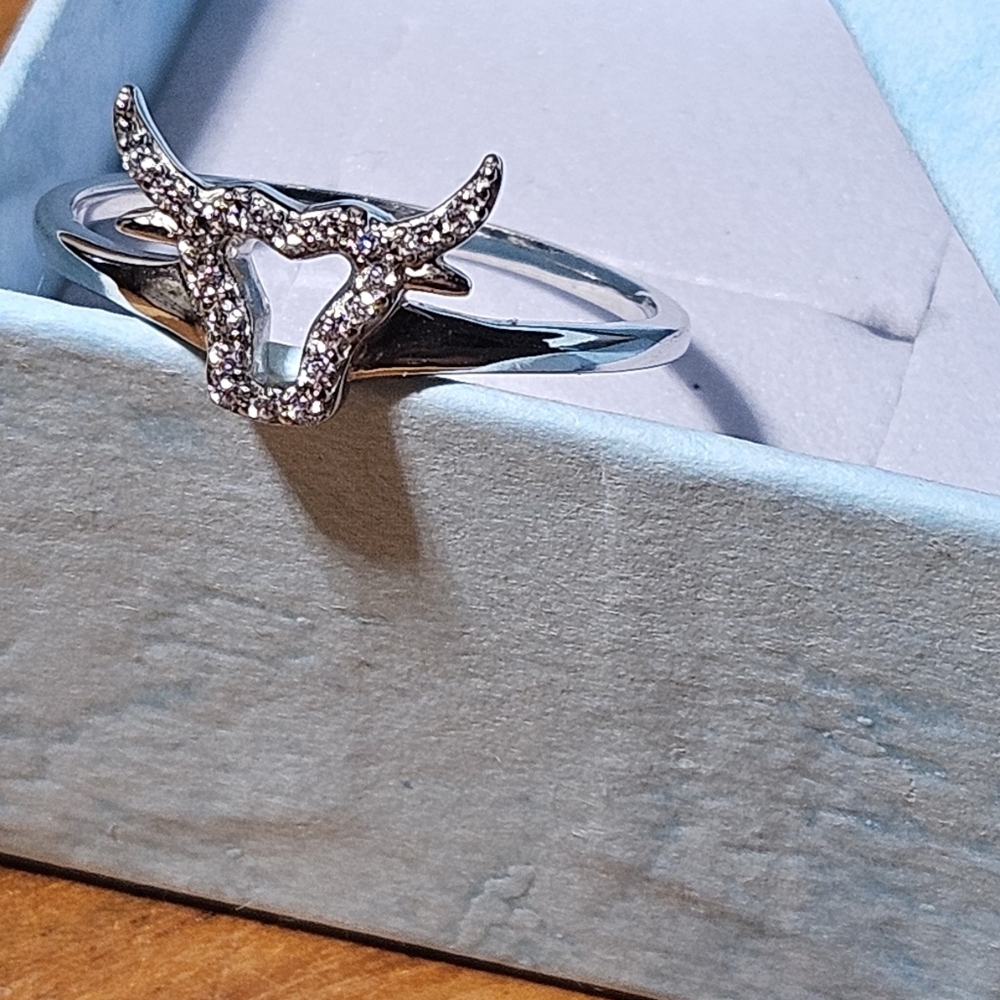 April Sterling Silver Taurus Ring Size 7 925